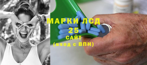 индика Костерёво