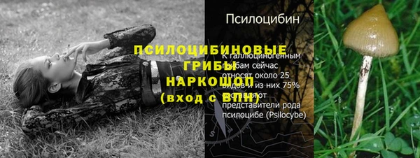 ECSTASY Козловка