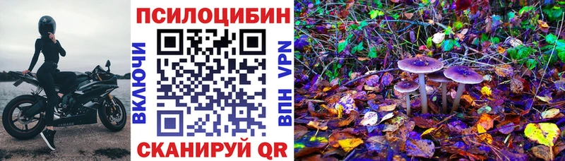 Галлюциногенные грибы мицелий  Купить где  Пушкино 